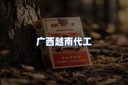 广西越南代工